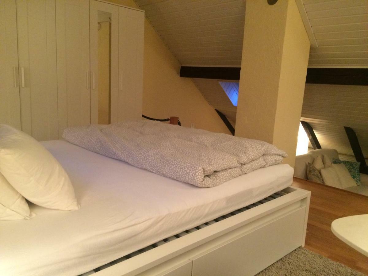 Appartement Cozy Attica - With Every Comfort - Berne à Liebefeld Extérieur photo